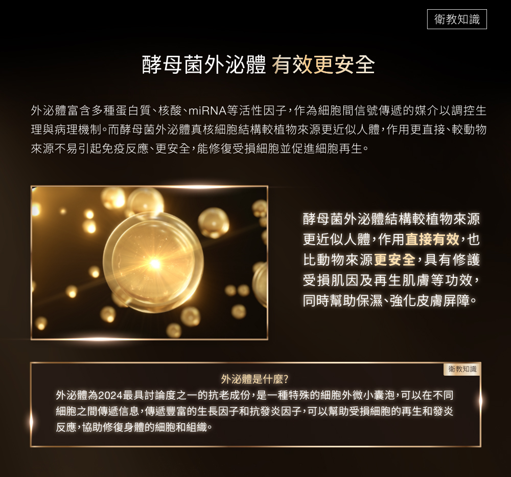 酵母菌外泌體